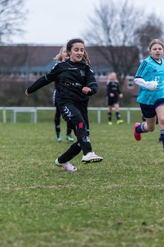 Bild 174 - D-Juniorinnen SVHU - FFC Nordlichter Norderstedt : Ergebnis: 10:0